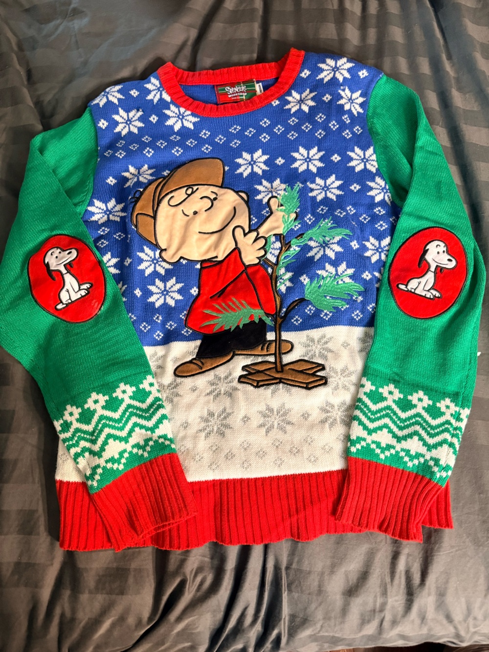 Spencer's Green & Blue Charlie Brown Holiday Crewneck Sweater